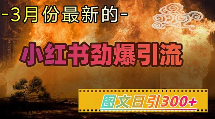 小红书超劲爆引流手段，图文日引300+轻松变现1W| 网创圈