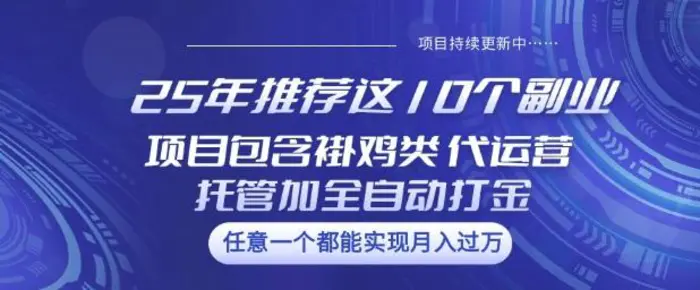 25年推荐这10个副业项目包含褂鸡类、代运营托管类、全自动打金类| 网创圈