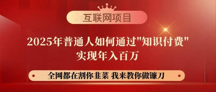 （14466期）【网创项目终点站-镰刀训练营超级IP合伙人】25年普通人如何通过“知识付费“实现年入百万| 网创圈