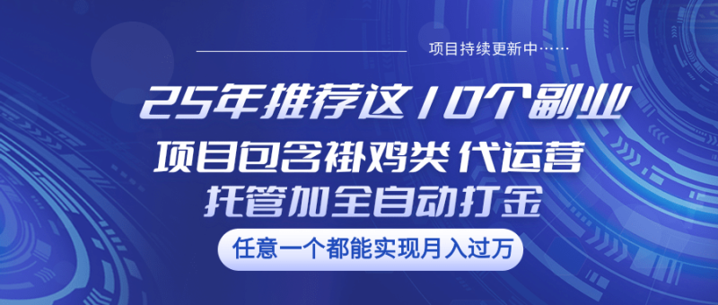 25年推荐这10个副业 项目包含褂鸡类、代运营托管类、全自动打金类| 网创圈