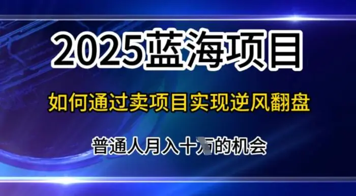 2025蓝海项目，普通人如何通过卖项目实现逆风翻盘，月入10个【揭秘】| 网创圈