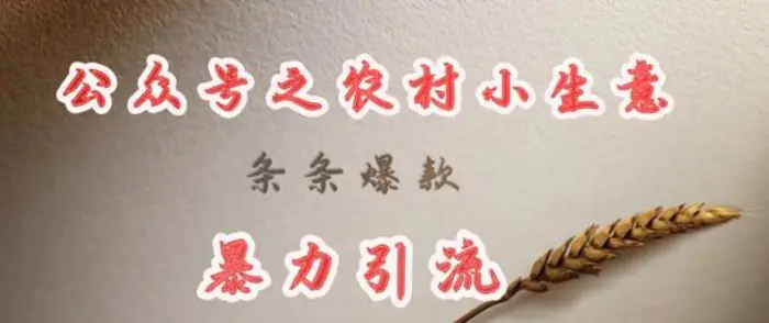 deepseek写农村小项目，条条爆款，暴力引流| 网创圈