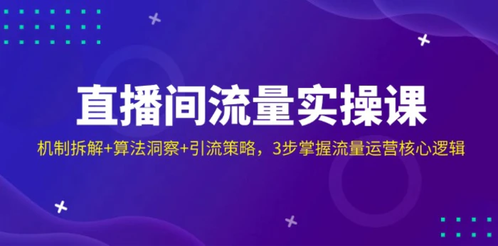 （14122期）直播间流量实操课：机制拆解+算法洞察+引流策略，3步掌握流量运营核心逻辑| 网创圈