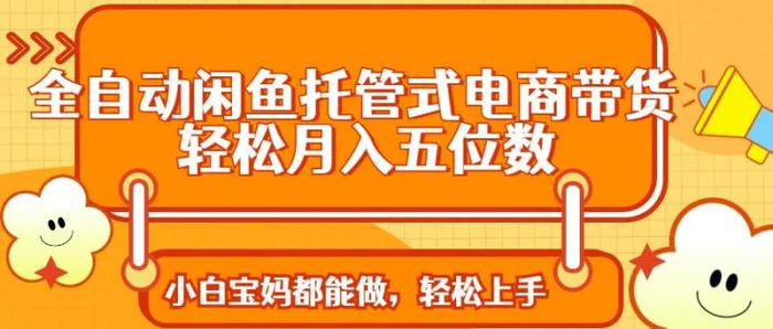 （14132期）全自动闲鱼托管式电商带货 轻松实现月入五位数| 网创圈