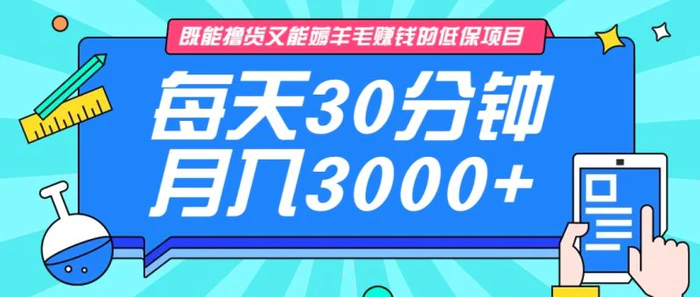 既能撸货又能赚钱的长期低保项目，每天30分钟，多号百分百稳定月入3000+！| 网创圈