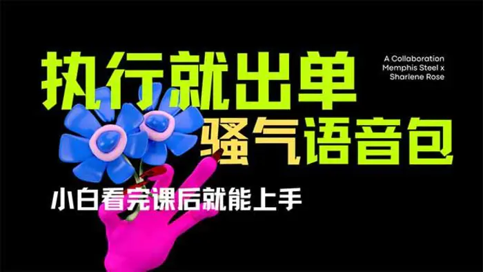 （14170期）爆火全网的开车导航骚气语音包,只要执行就出单，小白看完课程就能实操…| 网创圈