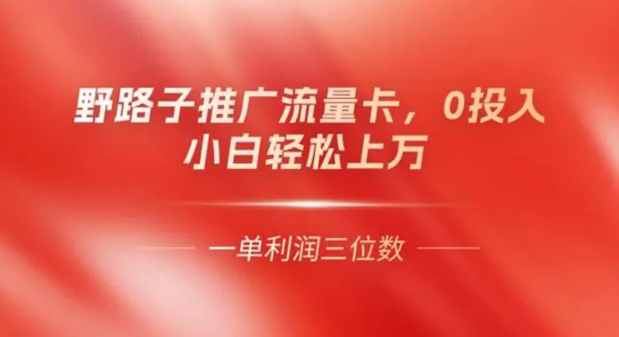 0门槛推广流量卡，一单收益上百，0投入，小白月入过W| 网创圈