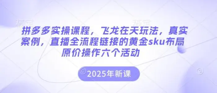 拼多多实操课程，飞龙在天玩法，真实案例，直播全流程链接的黄金sku布局原价操作六个活动| 网创圈