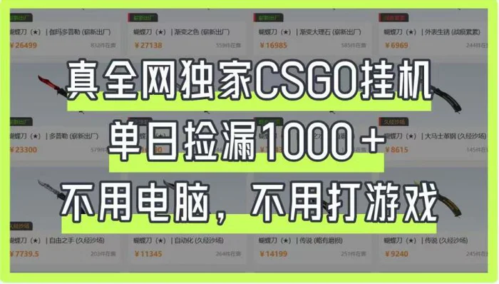真全网独家CSGO挂机，单日捡漏1000+，不用电脑，不用养号| 网创圈