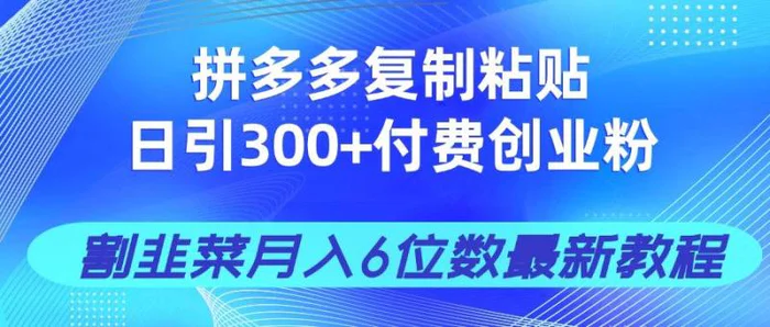 （14232期）拼多多复制粘贴日引300+付费创业粉，割韭菜月入6位数最新教程！| 网创圈