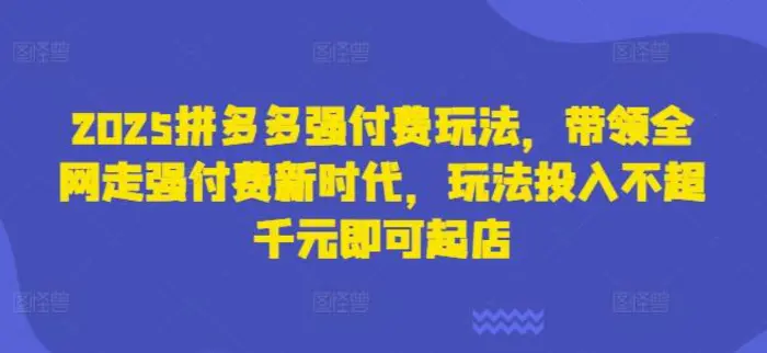 2025拼多多强付费玩法，带领全网走强付费新时代，玩法投入不超千元即可起店| 网创圈