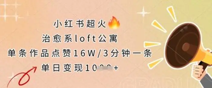 小红书超火的治愈系loft公寓，单条作品点赞16W，3分钟一条，单日变现数张| 网创圈