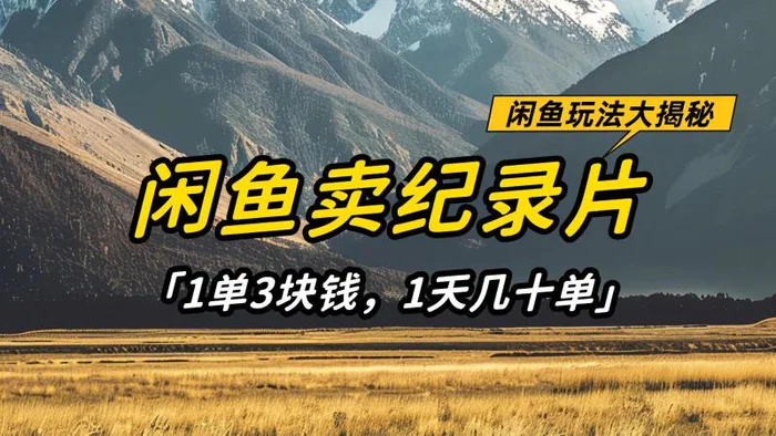 闲鱼卖纪录片，简单又赚钱的小项目，1单3块钱  1天几十单| 网创圈