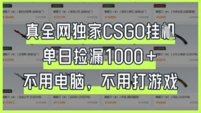 真全网独家CSGO挂G，单日捡漏1k+| 网创圈