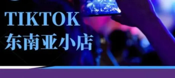 Tiktok东南亚跨境小店运营班，一门专业的TK小店运营培训课| 网创圈