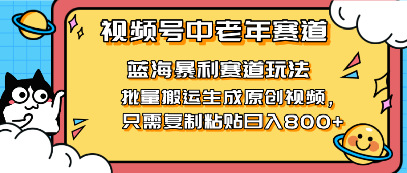 （14314期）2025视频号中老年短视频蓝海暴利风口！复制粘贴搬运视频单日赚800+，无…| 网创圈