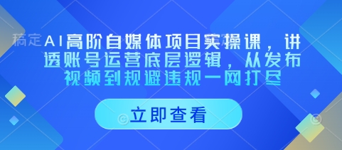 AI高阶自媒体项目实操课，讲透账号运营底层逻辑，从发布视频到规避违规一网打尽| 网创圈