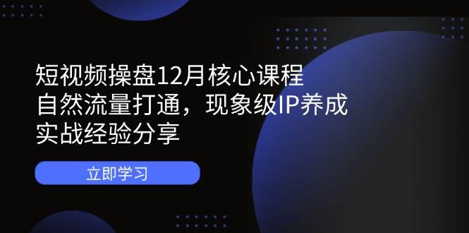 短视频操盘12月核心课程：自然流量打通，现象级IP养成，实战经验分享| 网创圈