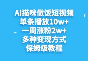 AI猫咪做饭短视频，单条播放10w+，一周涨分2w+，多种变现方式，保姆级教程| 网创圈
