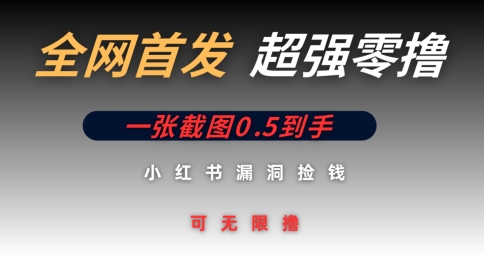 全网首发无限零撸捡钱项目，小红书一张截图0.5元可无限零撸| 网创圈