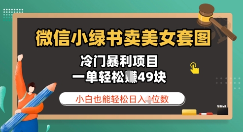 微信小绿书卖美女套图，冷门暴利项目，一单轻松挣49块，小白也能轻松日入3位数| 网创圈