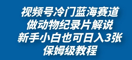 视频号冷门蓝海赛道，做动物纪录片解说，新手小白也日入3张，保姆级教程| 网创圈
