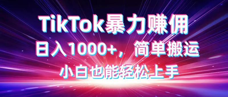（14402期）TikTok搬运暴力赚佣，日入1000+，简单搬运，小白也能轻松上手| 网创圈