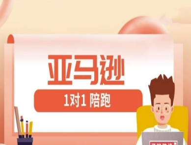 亚马逊1对1陪跑课(FBA/FBM精铺)跨境亚马逊教程| 网创圈