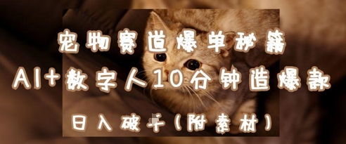 宠物赛道爆单秘籍：AI+数字人10分钟造爆款，日入1k| 网创圈