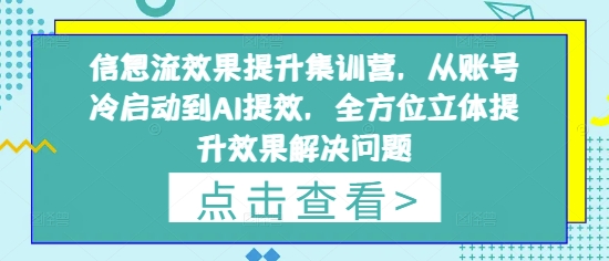 信息流效果提升集训营，从账号冷启动到AI提效，全方位立体提升效果解决问题| 网创圈
