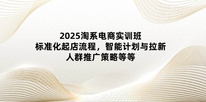 2025淘系电商实训班：标准化起店流程，智能计划与拉新，人群推广策略等等| 网创圈