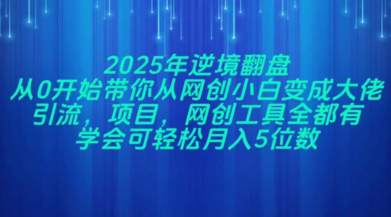 （14473期）2025年逆境翻盘，从0开始带你从网创小白变成大佬，引流，项目，网创工…| 网创圈