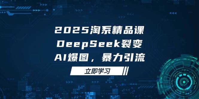 2025无界精品课，DeepSeek裂变，AI爆图，暴力引流助力淘系运营| 网创圈