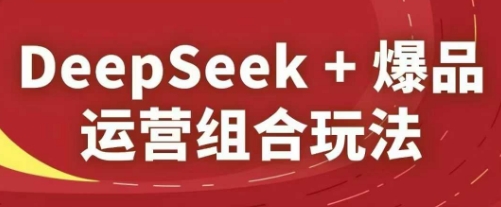 DeepSeek+爆品运营组合玩法，2025淘系精品课| 网创圈