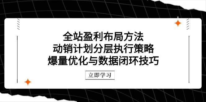 全站盈利布局方法：动销计划分层执行策略，爆量优化与数据闭环技巧| 网创圈