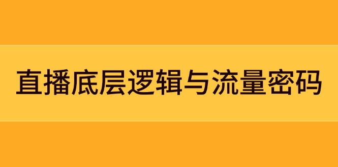 （14695期）直播底层逻辑与流量密码：定位模型+案例拆解，急速流承接与数据优化全攻略| 网创圈