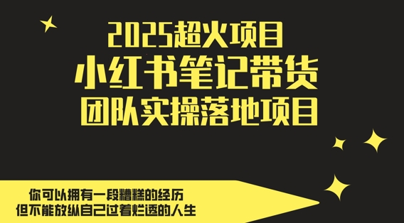 2025超火项目，副业最佳选择，小红书笔记带货团队实操落地项目，，轻松日入5张| 网创圈