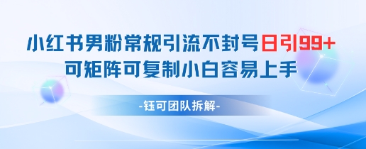 小红书男粉常规引流不封号日引99+变现简单 可矩阵可复制小白容易上手| 网创圈