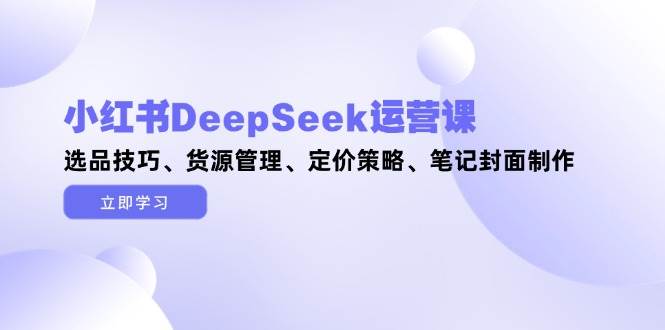 小红书DeepSeek运营课，选品技巧、货源管理、定价策略、笔记封面制作| 网创圈