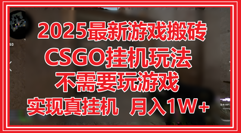 2025最新游戏搬砖，CSGO挂机，不需要玩游戏，实现真挂机，月入1W+| 网创圈