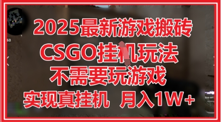 2025最新游戏搬砖，CSGO挂G，不需要玩游戏，实现真挂G，月入1W+| 网创圈