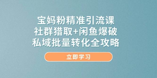 宝妈粉精准引流课，社群猎取+闲鱼爆破，私域批量转化全攻略| 网创圈