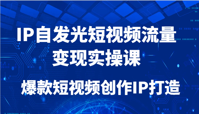 IP自发光短视频流量变现实操课，爆款短视频创作IP打造| 网创圈