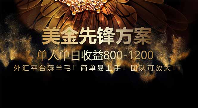 （14761期）免费技术！小众赛道！一年布局抵三年努力，每日800+| 网创圈