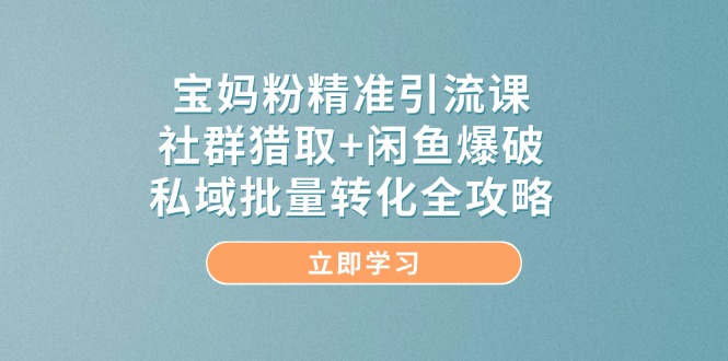 （14820期）宝妈粉精准引流课，社群猎取+闲鱼爆破，私域批量转化全攻略| 网创圈