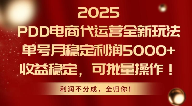 （14839期）2025PDD电商代运营全新玩法，单号月稳定利润5000+，收益稳定，可批量操作| 网创圈