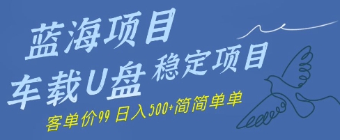 蓝海项目车载U盘稳定项目，挣的就是信息差，客单价99，日入几张简简单单| 网创圈