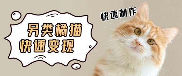 5个作品涨粉30W！AI+江湖橘猫视频制作，小白轻轻松松上手，条条爆款，条条变现，单日就能收益| 网创圈