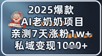 2025爆款 AI 老奶奶项目：亲测 7 天涨粉 1W+，私域变现 1k+| 网创圈
