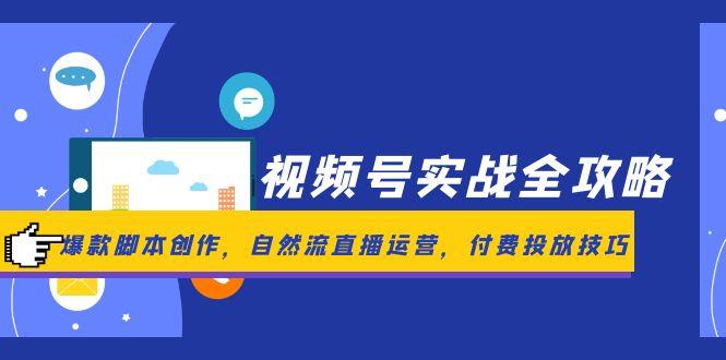 （14925期）视频号实战全攻略，爆款脚本创作，自然流直播运营，付费投放技巧| 网创圈